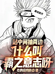 《站中间抽两边，什么叫霸之意志呀》小说封面