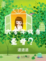 《六零年代当圣母？退退退》小说封面