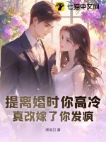 《提离婚时你高冷，真改嫁了你发疯》小说封面