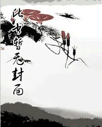 《祸仙》小说封面