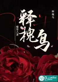 《释槐鸟》小说封面