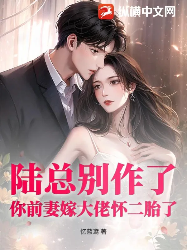 《陆总别作了，你前妻嫁大佬怀二胎了》小说封面