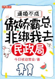 《逼婚不成，傲娇霸总非绑我去民政局！》小说封面
