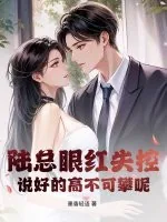 《陆总眼红失控，说好的高不可攀呢》小说封面