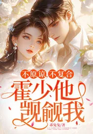 《不原谅，不复合，霍少他觊觎我》小说封面