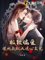 《极致偏爱，误成疯批大佬心尖宠》小说封面