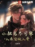 《小叔高不可攀，入夜宠她入骨》小说封面