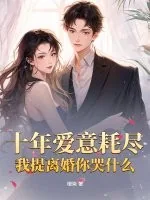 《十年爱意耗尽,我提离婚你哭什么》小说封面
