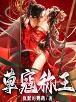 《草寇称王》小说封面
