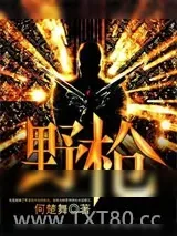 《野枪》小说封面