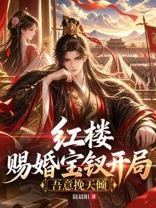 《红楼：赐婚宝钗开局，吾意挽天倾》小说封面