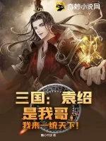 《三国:袁绍是我哥,我来一统天下!》小说封面
